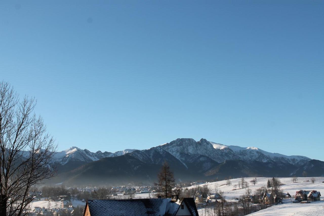 Willa Grzesiczek Zakopane Ngoại thất bức ảnh
