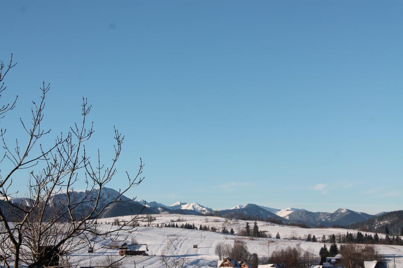 Willa Grzesiczek Zakopane Ngoại thất bức ảnh